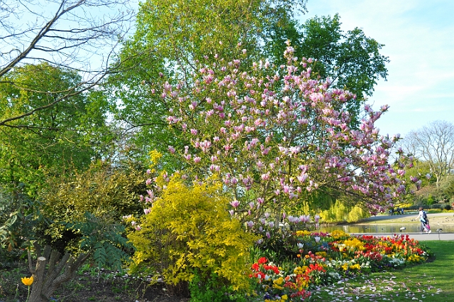 22 04_Regents Park_2494.JPG - REGENTS PARK - APRIL 2009